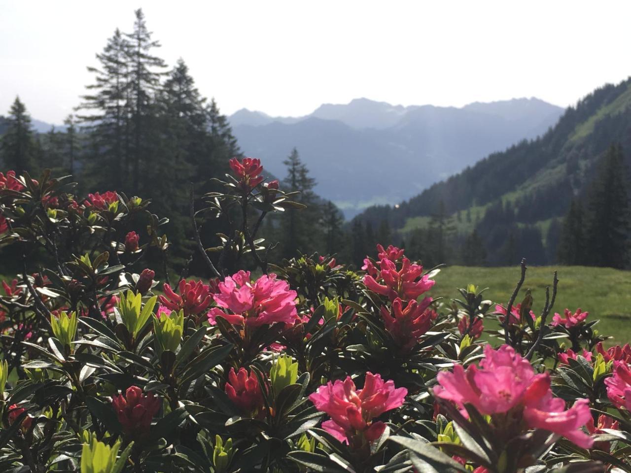 Auszeit Appartement Obermaiselstein Buitenkant foto